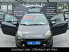 Fiat Punto Evo nieder-hilbersheim