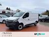 Opel Vivaro hornburg