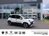 Fiat Panda bergholz-rehbruecke