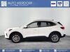 Ford Kuga Nattenheim