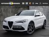 Alfa Romeo Stelvio heupelzen