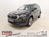 Skoda Karoq kreis|tuebingen