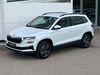 Skoda Karoq lobstaedt