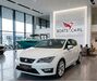 Seat Leon schoental