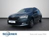 Skoda Fabia walhausen