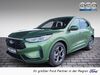 Ford Kuga bueddenstedt