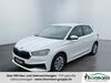 Skoda Fabia sanne-kerkuhn