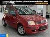 Fiat New Panda suedergellersen