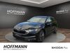 Skoda Octavia Wetter (Hessen)