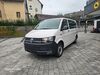 VW T6 Transporter schoental