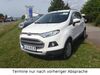 Ford EcoSport bueddenstedt