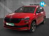 Skoda Karoq trechtingshausen