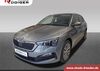 Skoda Scala kreis|suedliche-weinstrasse
