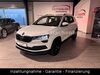 Skoda Karoq heupelzen