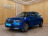 Skoda Kamiq meinborn