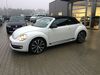 VW Beetle hann