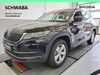 Skoda Kodiaq kuehbach