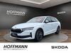 Skoda Octavia Wetter (Hessen)