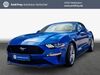 Ford Mustang harzungen