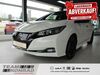 Nissan Leaf hottelstedt