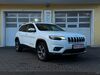 Jeep Cherokee muenster-sarmsheim