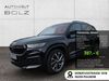 Skoda Kodiaq Wiersdorf