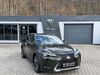 Lexus UX stumsdorf