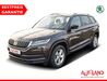 Skoda Kodiaq kreis|tuebingen