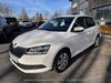 Skoda Fabia bueddenstedt