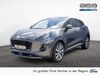 Ford Puma bueddenstedt