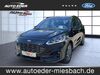 Ford Kuga geisenfeld