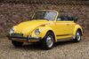 VW Beetle deutschland