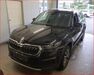 Skoda Kodiaq Voerde (Niederrhein)