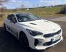 Kia Stinger niederhosenbach
