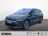 Skoda Enyaq kuehbach
