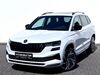 Skoda Karoq gusenburg