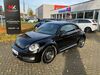 VW Beetle muenster-sarmsheim