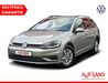 VW Golf ribbeck
