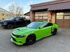 Dodge Charger suedergellersen
