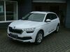 Skoda Kamiq gruenewald