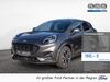 Ford Puma hottelstedt