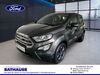 Ford EcoSport dankmarshausen