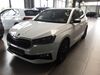 Skoda Fabia meinborn
