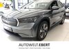 Skoda Enyaq gau-odernheim