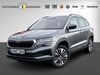 Skoda Karoq heupelzen