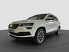 Skoda Karoq dorn-duerkheim
