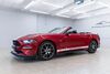 Ford Mustang bueddenstedt