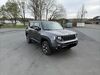 Jeep Renegade muenster-sarmsheim