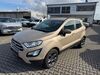 Ford EcoSport kreis|lahn-dill-kreis