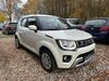 Suzuki Ignis Bergen (Dumme)